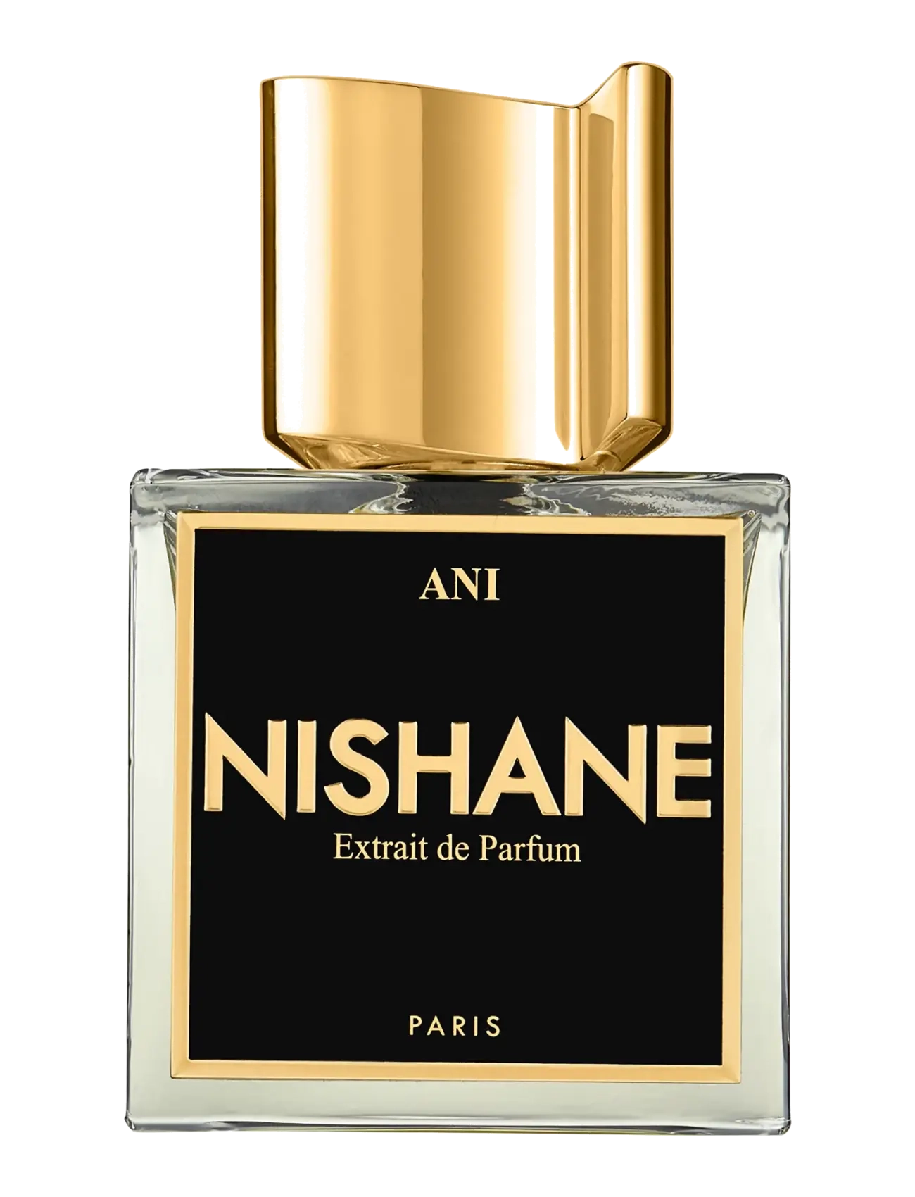 NISHANE Ani Extrait De Parfum 100ml, 100 ml, Nude, Parfume > Eau De Parfum, Dame