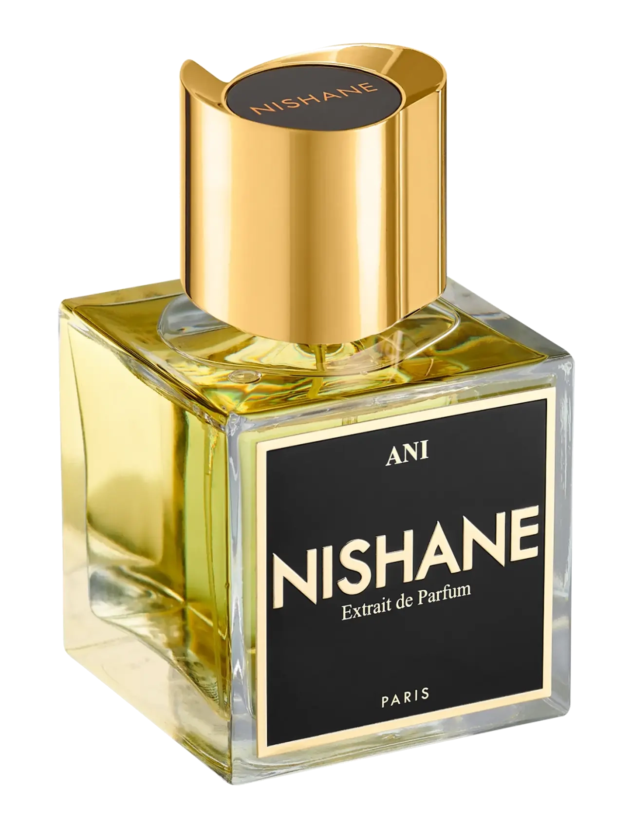 NISHANE - ANI EXTRAIT DE PARFUM 100ML - unisex - clear - 2