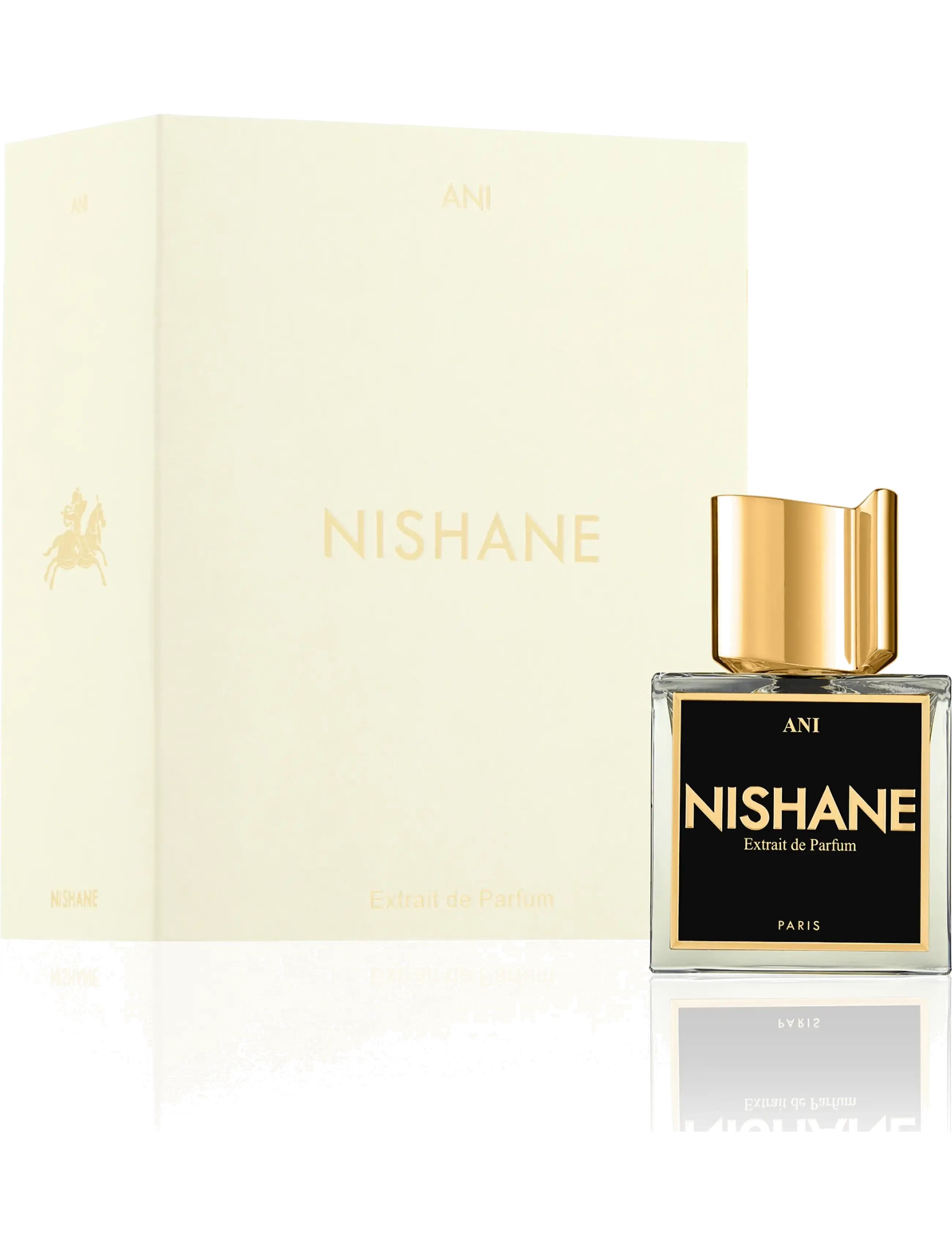 NISHANE - ANI EXTRAIT DE PARFUM 100ML - unisex - clear - 3