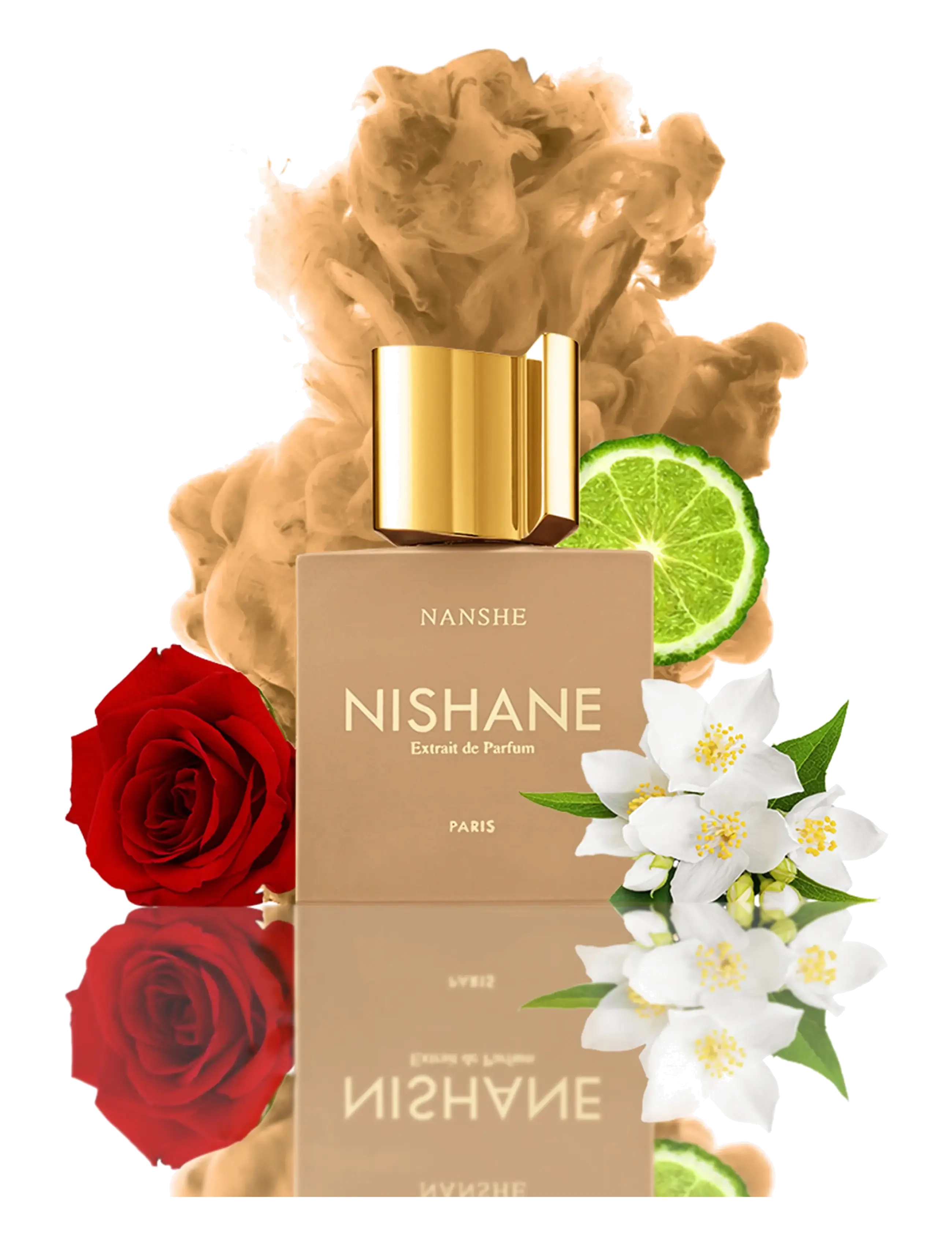 Nanche 5