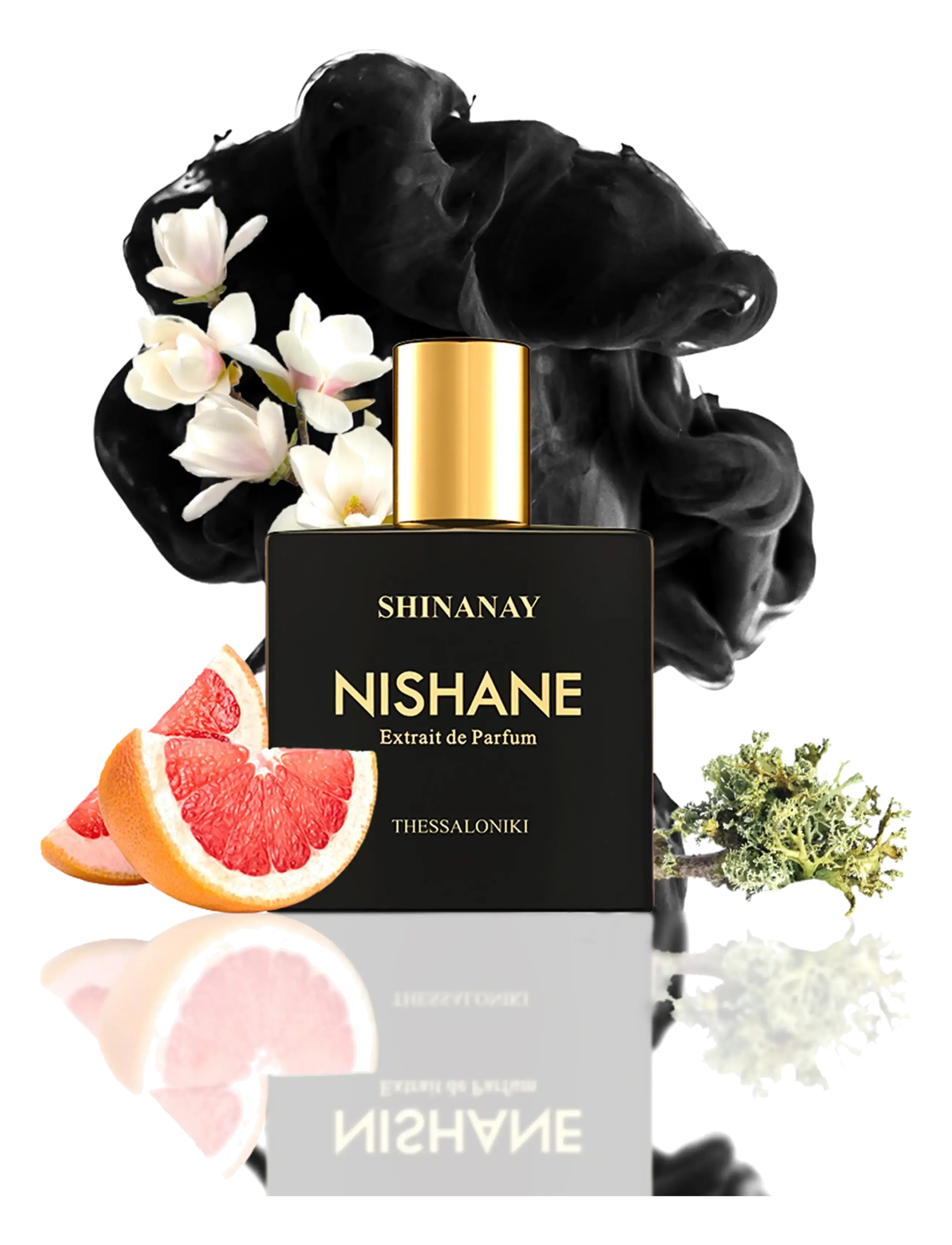 Shinanay Edp 6