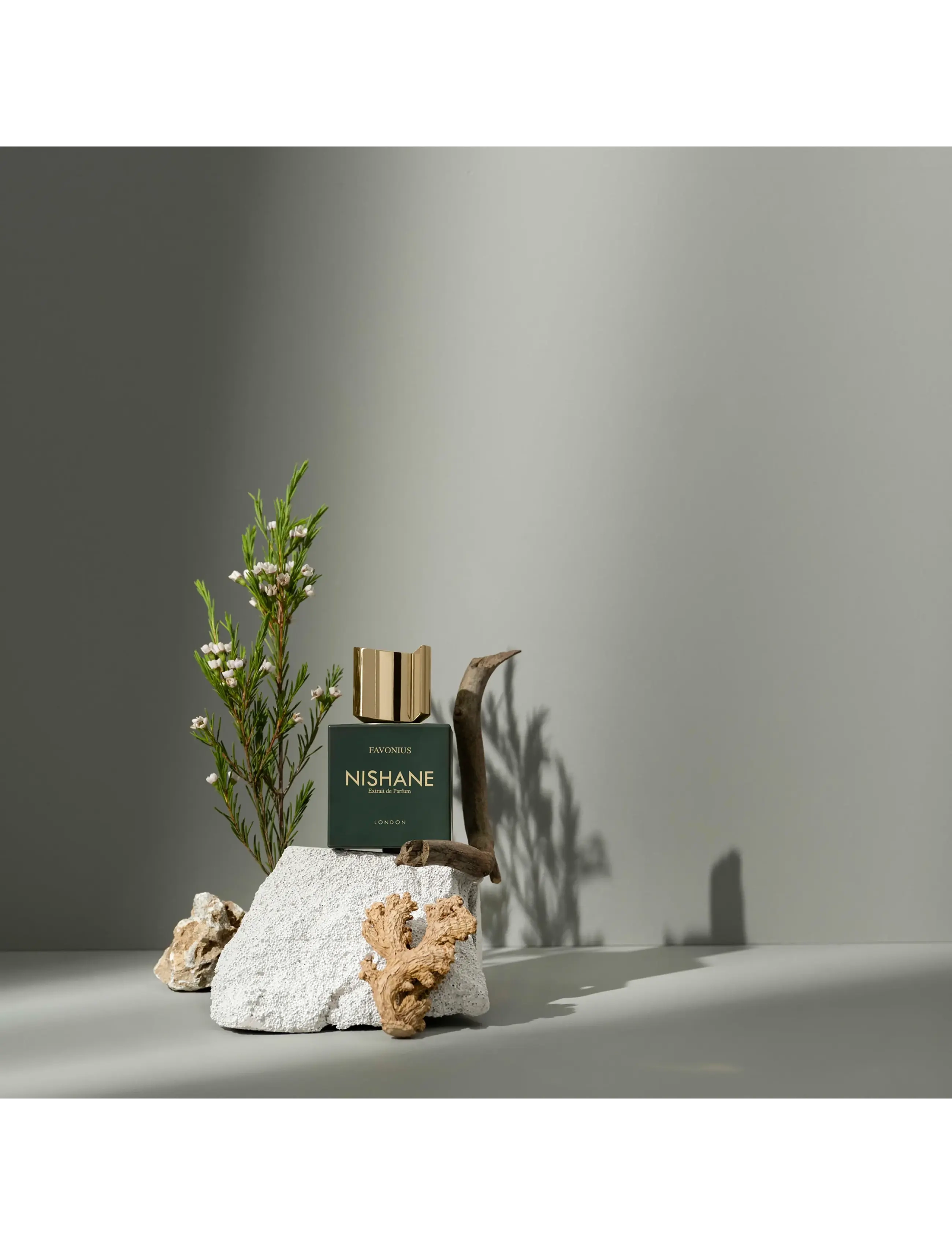 Favonius Edp 5