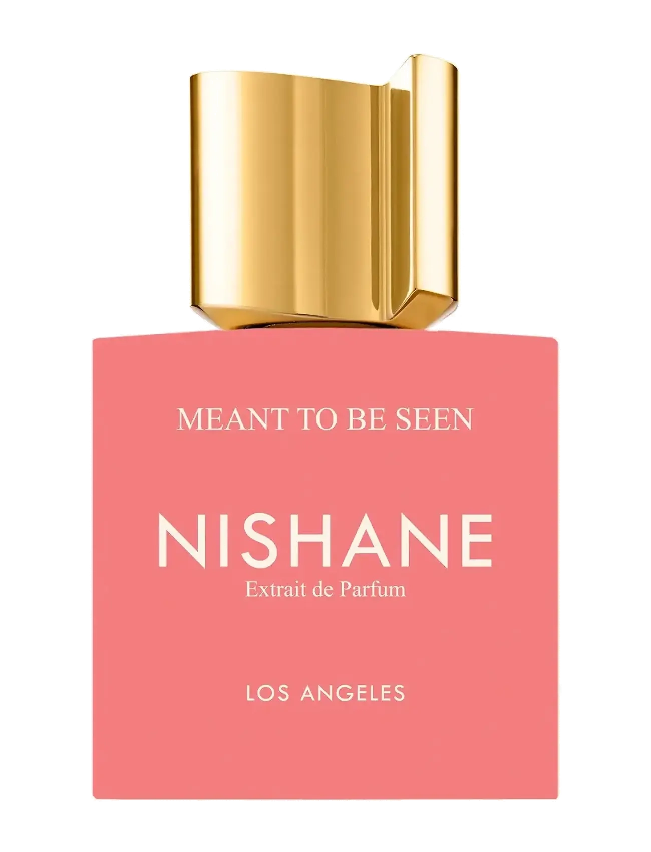 NISHANE MEANT TO BE SEEN 50ML - Parfym - null / undefined