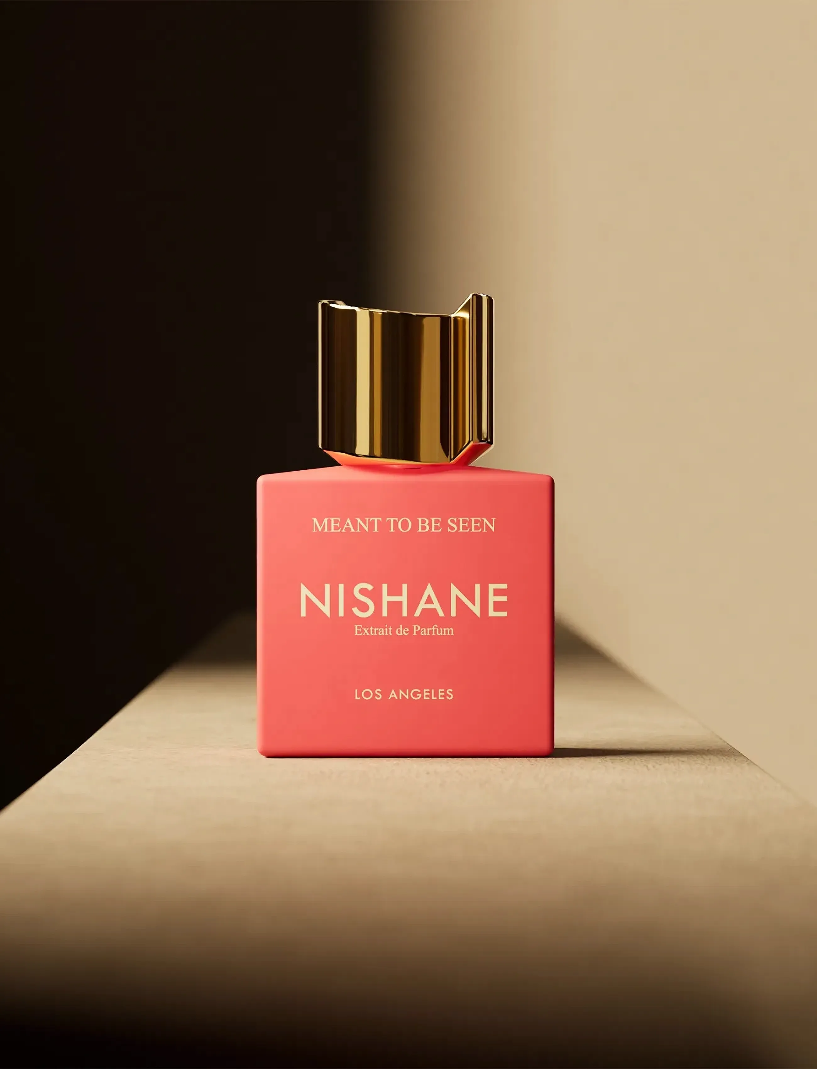 NISHANE - MEANT TO BE SEEN 50ML - unisex - clear - 4