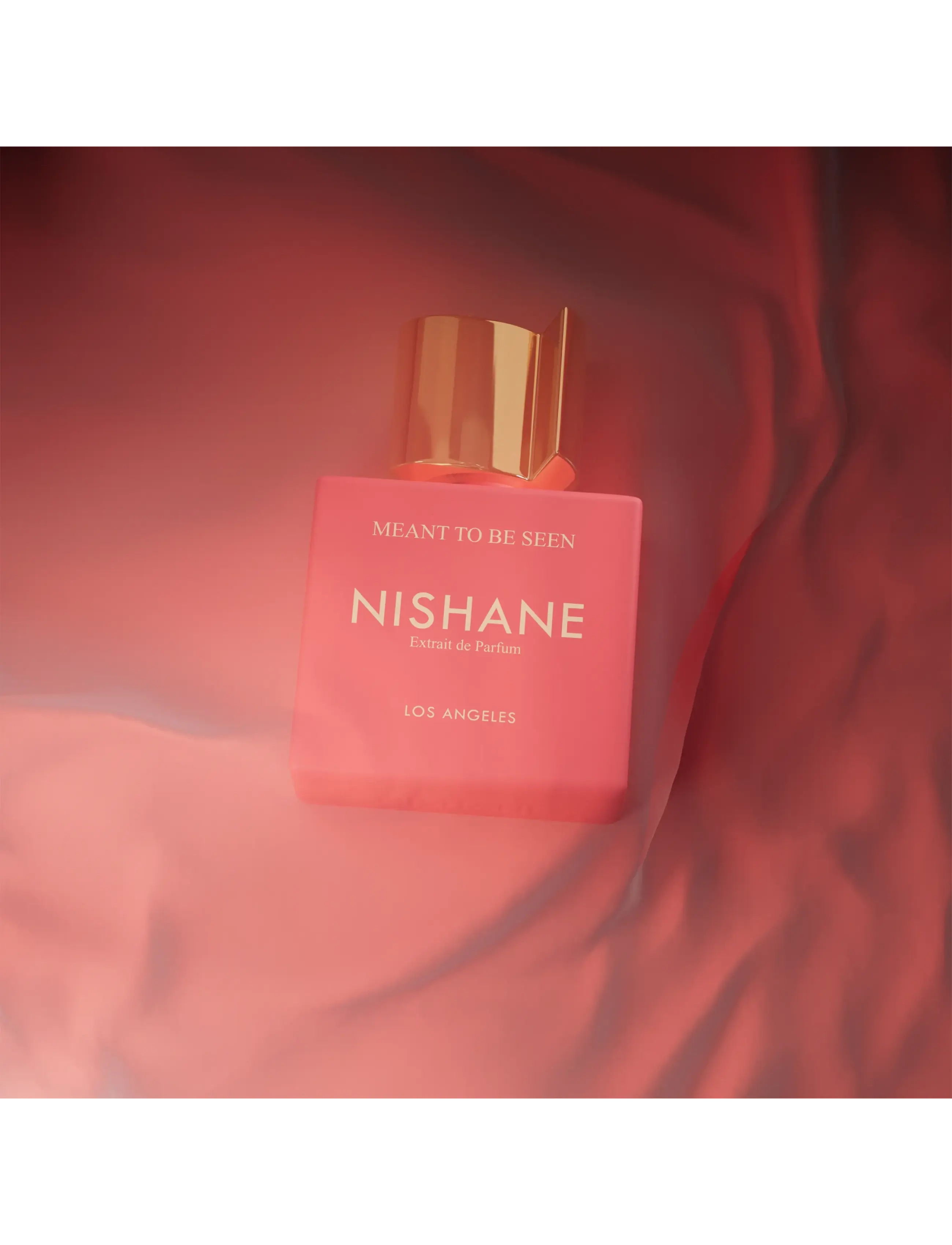 NISHANE - MEANT TO BE SEEN 50ML - unisex - clear - 3