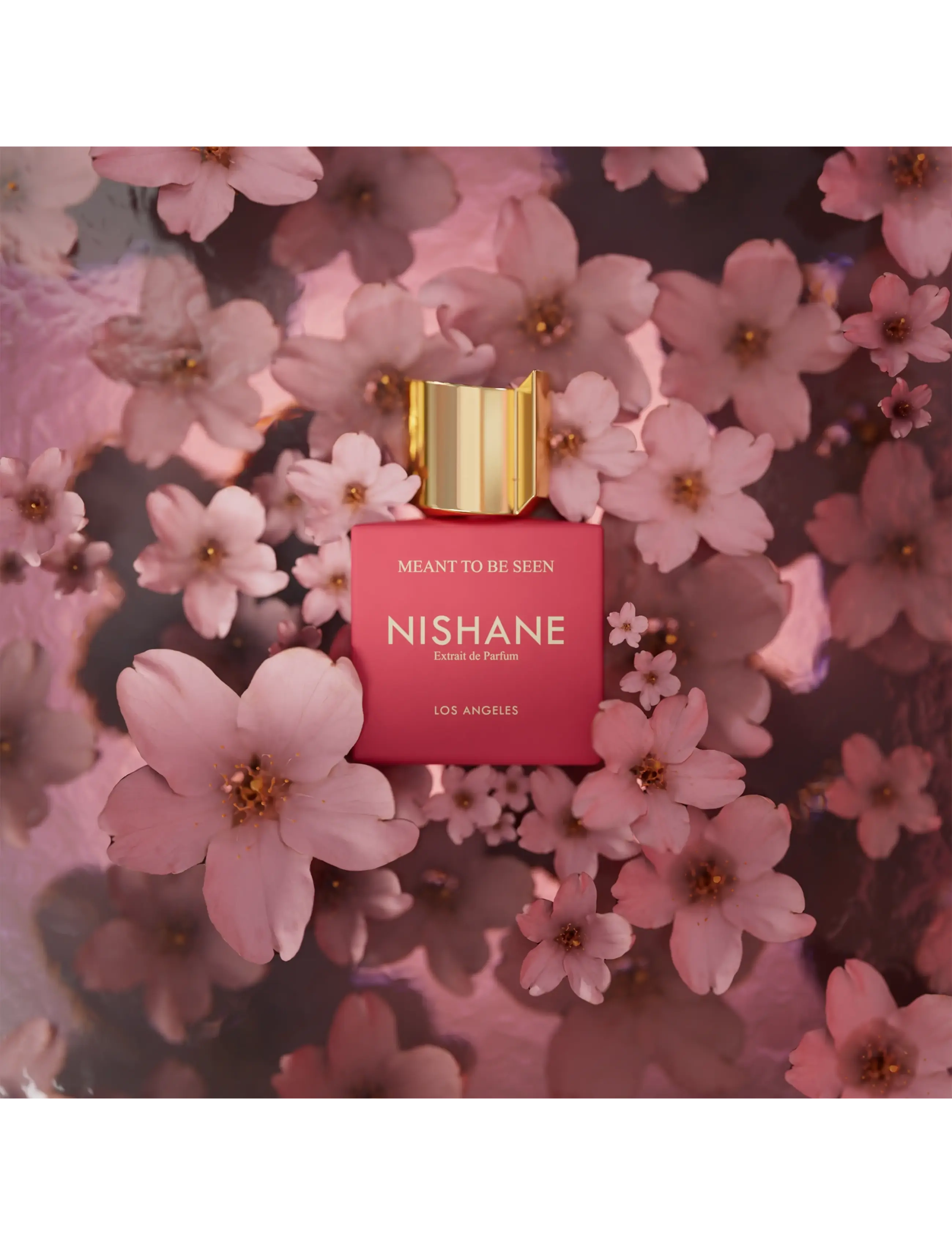 NISHANE - MEANT TO BE SEEN 50ML - unisex - clear - 4