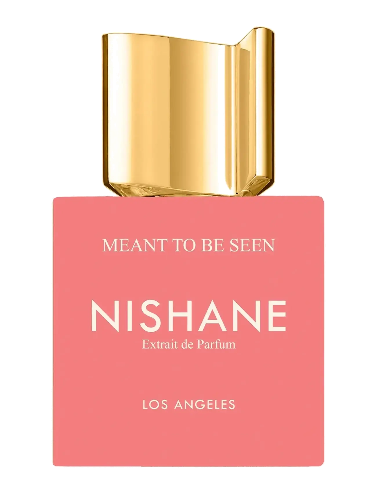NISHANE MEANT TO BE SEEN 100ML - NISHANE - null / undefined
