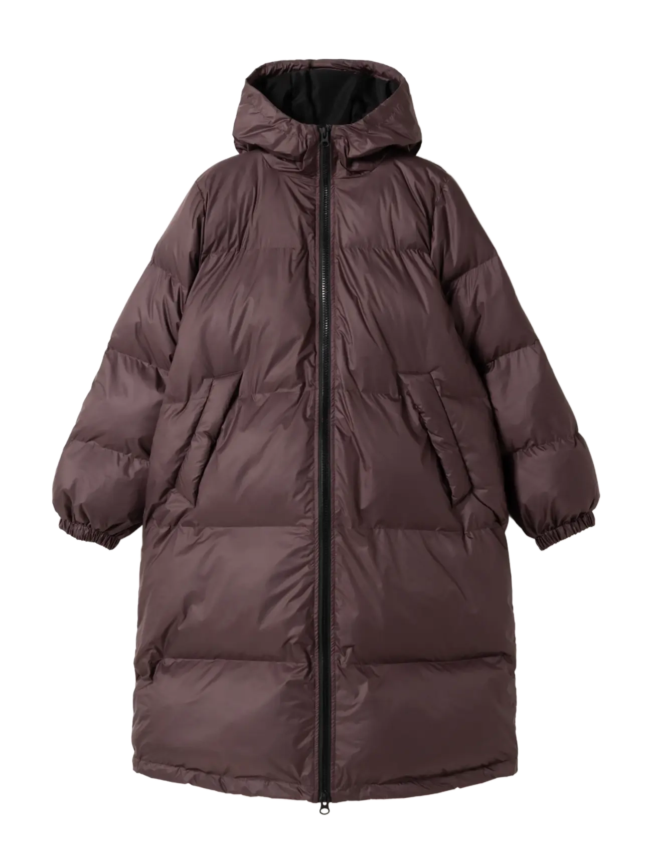 Noella - N-Mikko Coat - vinterjackor - winter bloom - 1