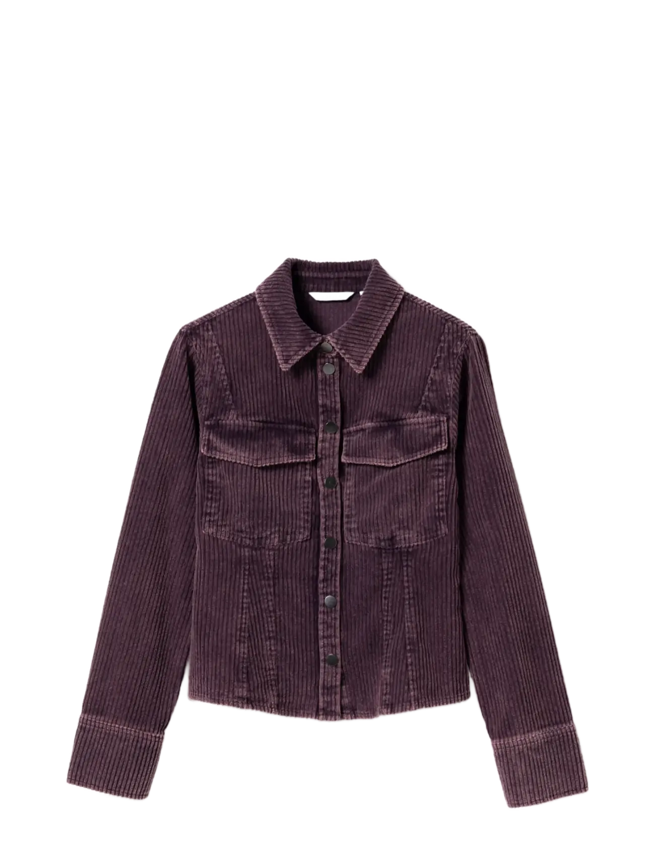 WINTER BLOOM WASH