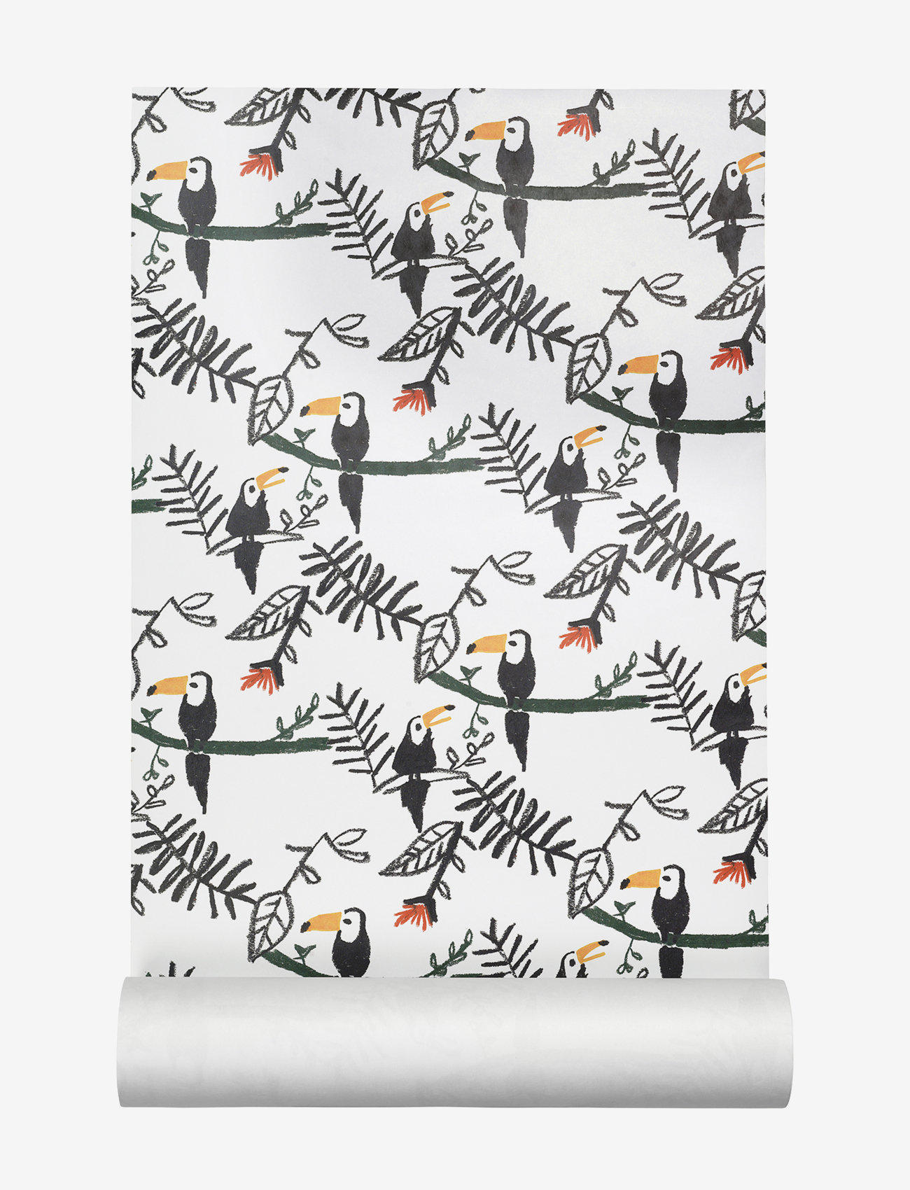 TOUCAN