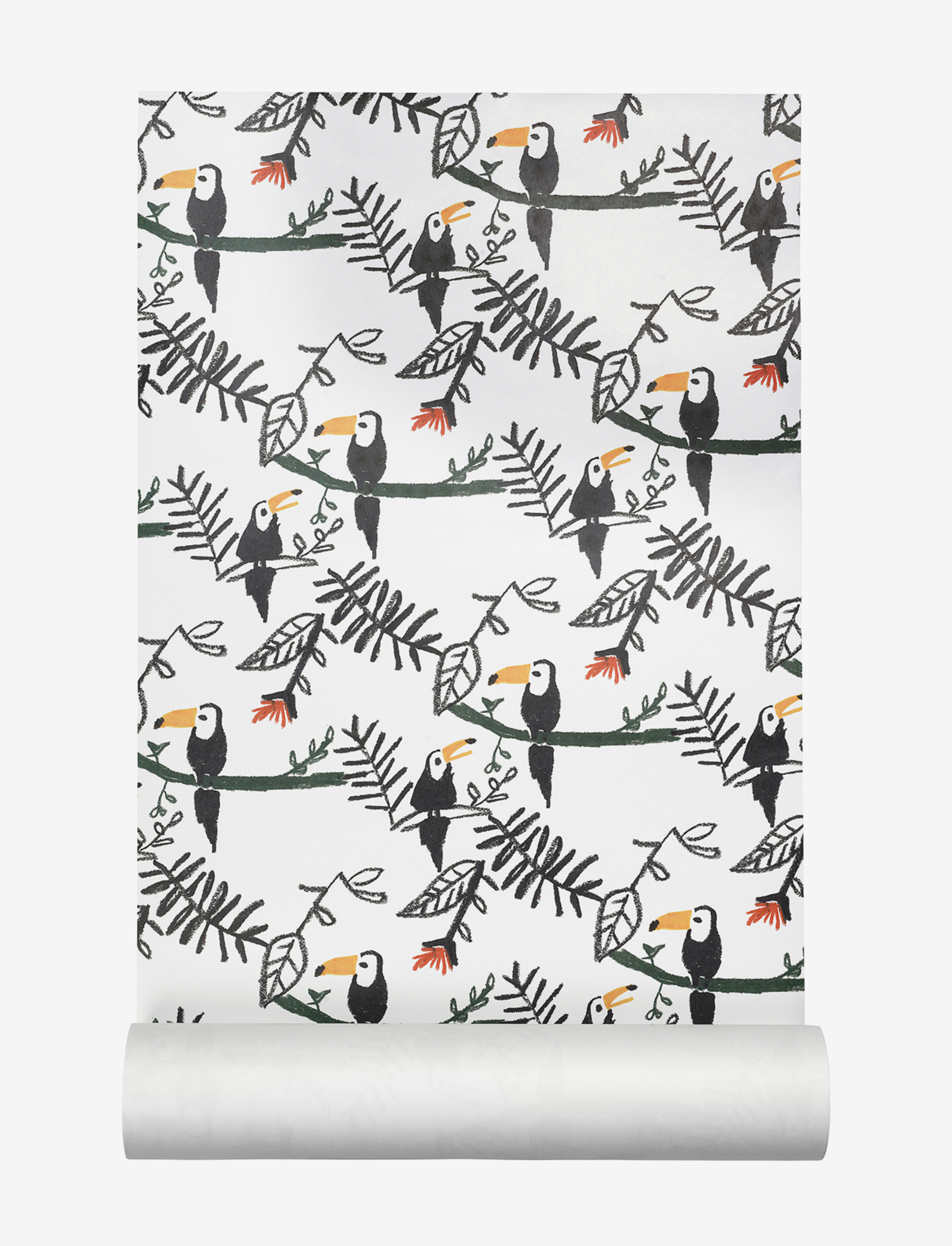 TOUCAN
