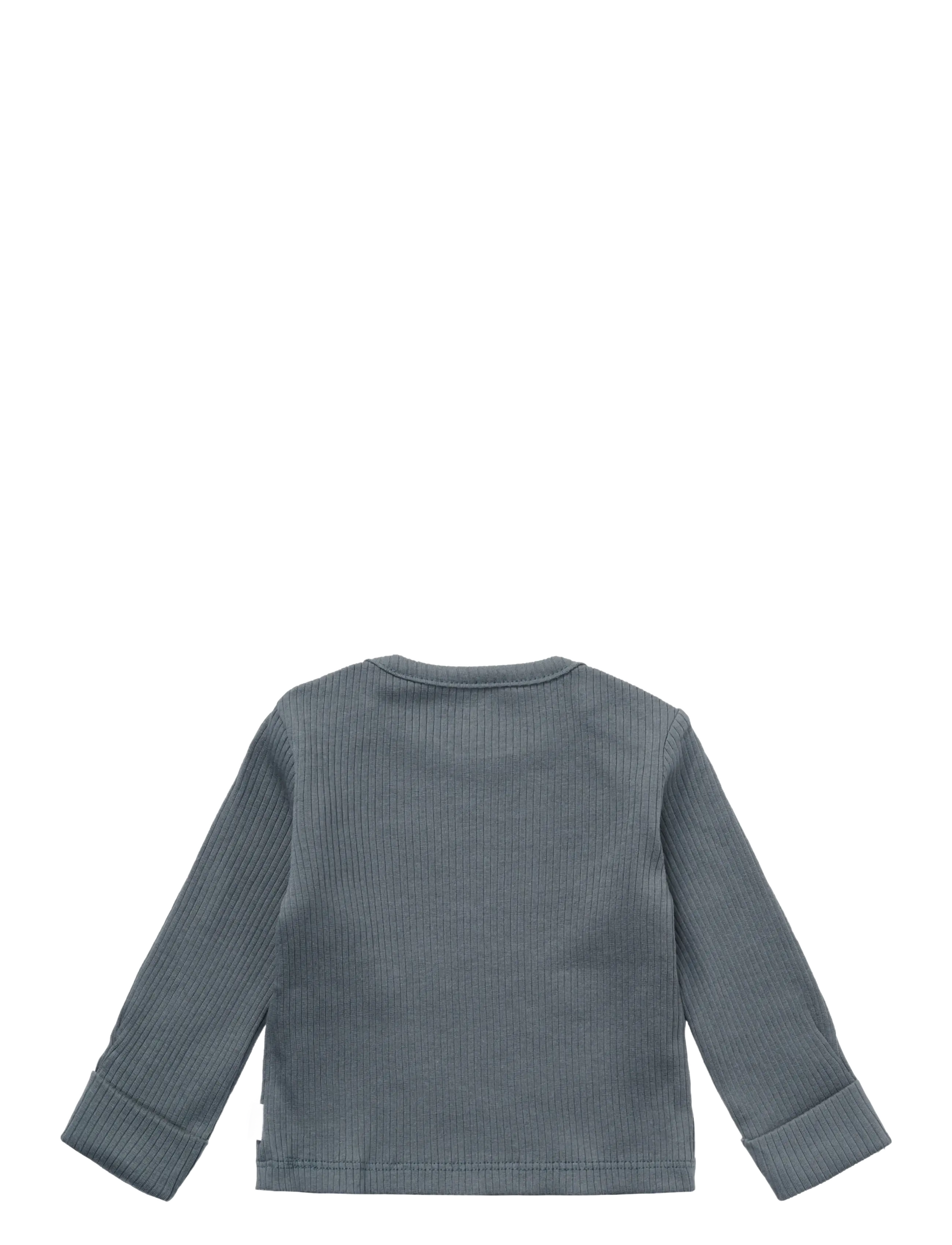Noppies - Tee LS - pikkade varrukatega t-särgid - stormy weather - 1