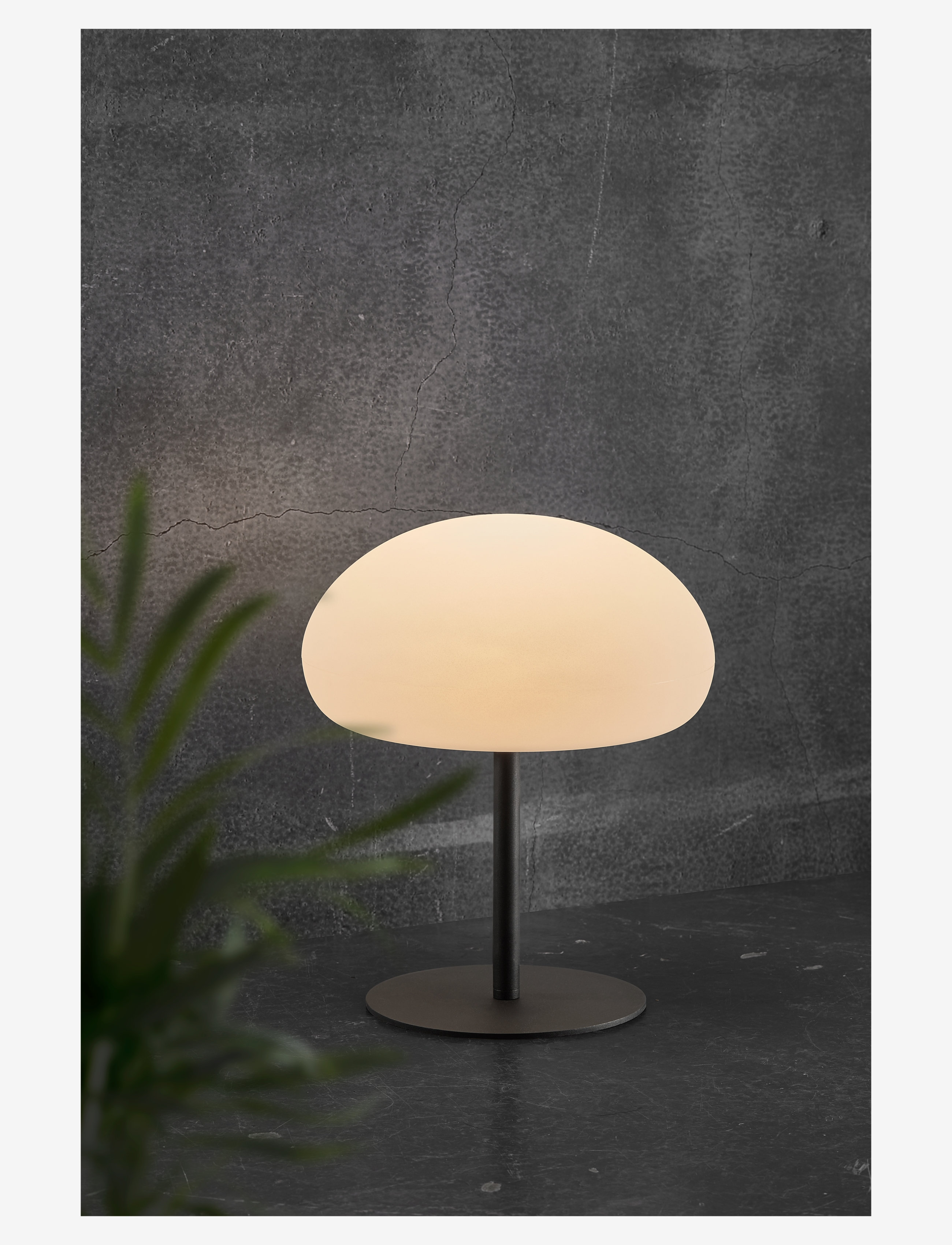 Nordlux - Sponge 34 / Bord - fönsterlampor - white/black - 3