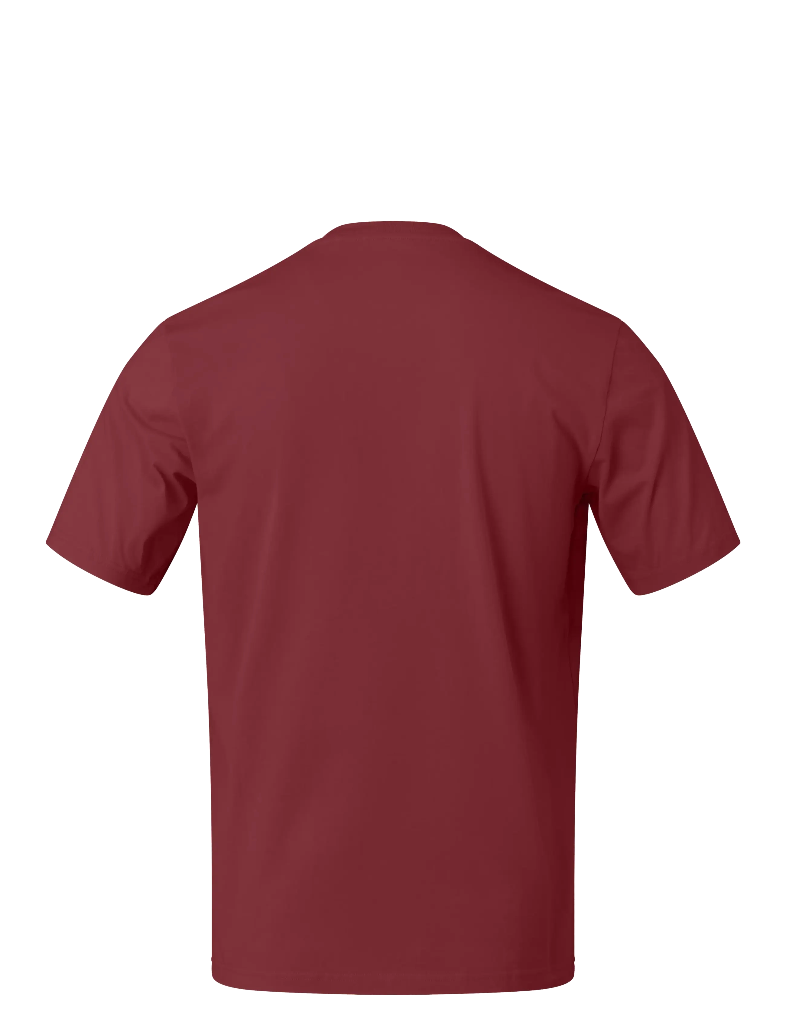 Norrøna - /29 cotton viking T-shirt M's - t-shirts - port - 1
