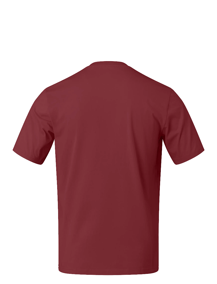 Norrøna - /29 cotton viking T-shirt M's - oberteile & t-shirts - port - 1