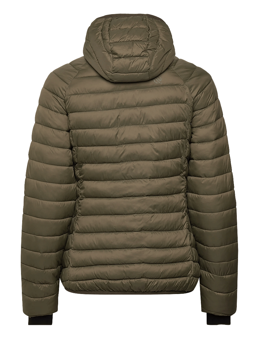 Norrsken - GRINDAL JKT W - vestes d'hiver - light green - 2