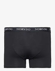 NORVIG - 6-Pack Mens Tights - bokseršorti - black - 8