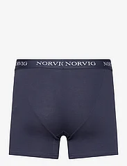NORVIG - 6-Pack Mens Tights - trunks - navy - 3