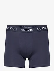 NORVIG - 6-Pack Mens Tights - boxer briefs - navy - 6