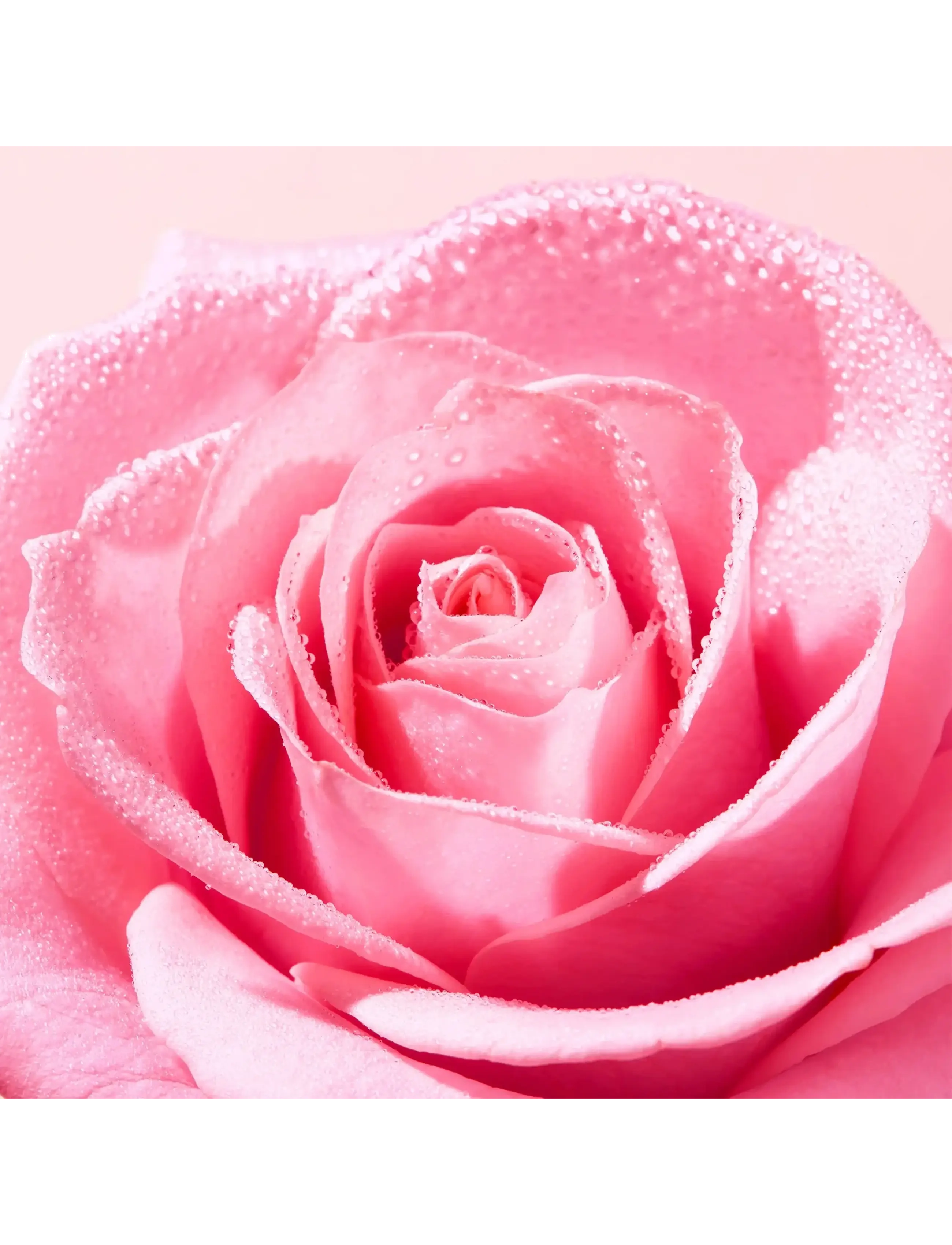 Very Rose Delicate Cleansing Oil 5