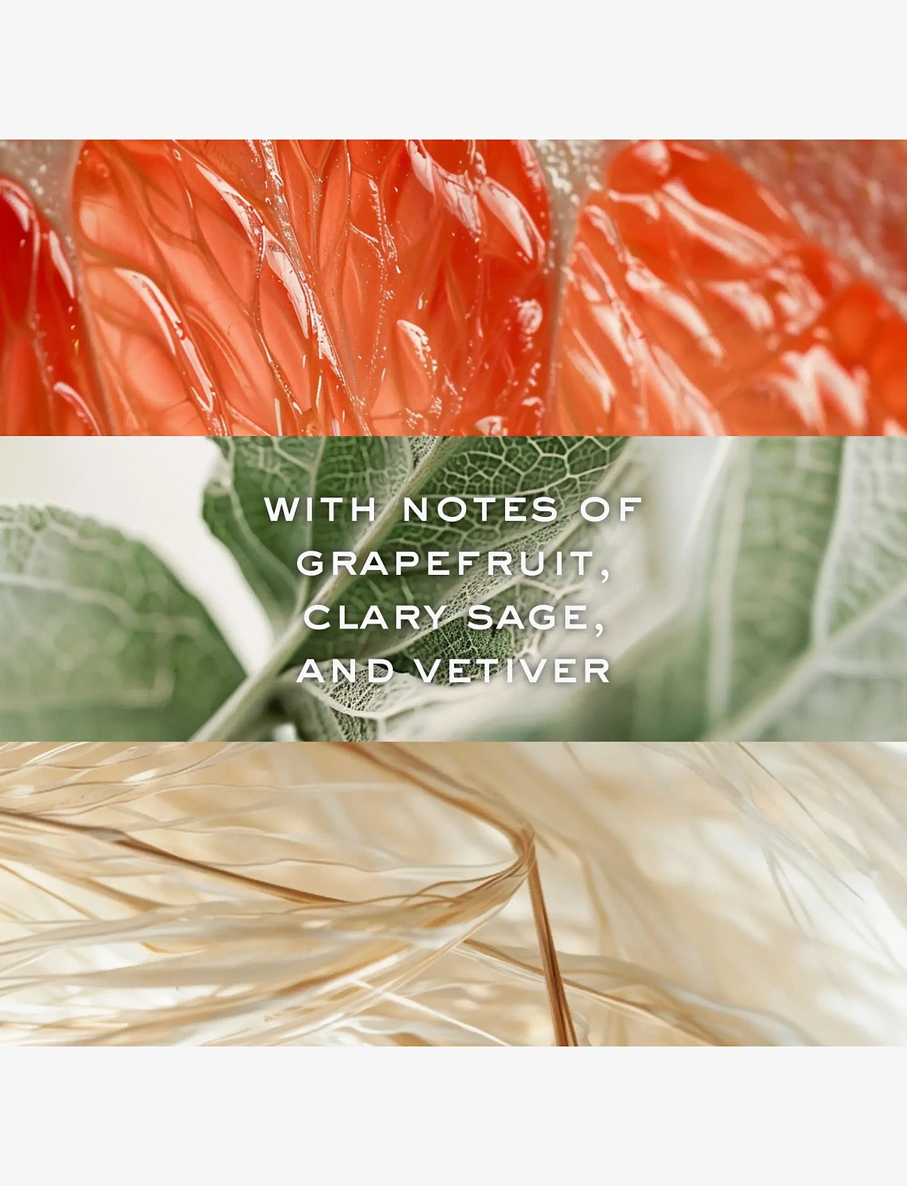 NUXE - NUXE MEN EAU DE PARFUM 50ML - till honom  - clear - 4