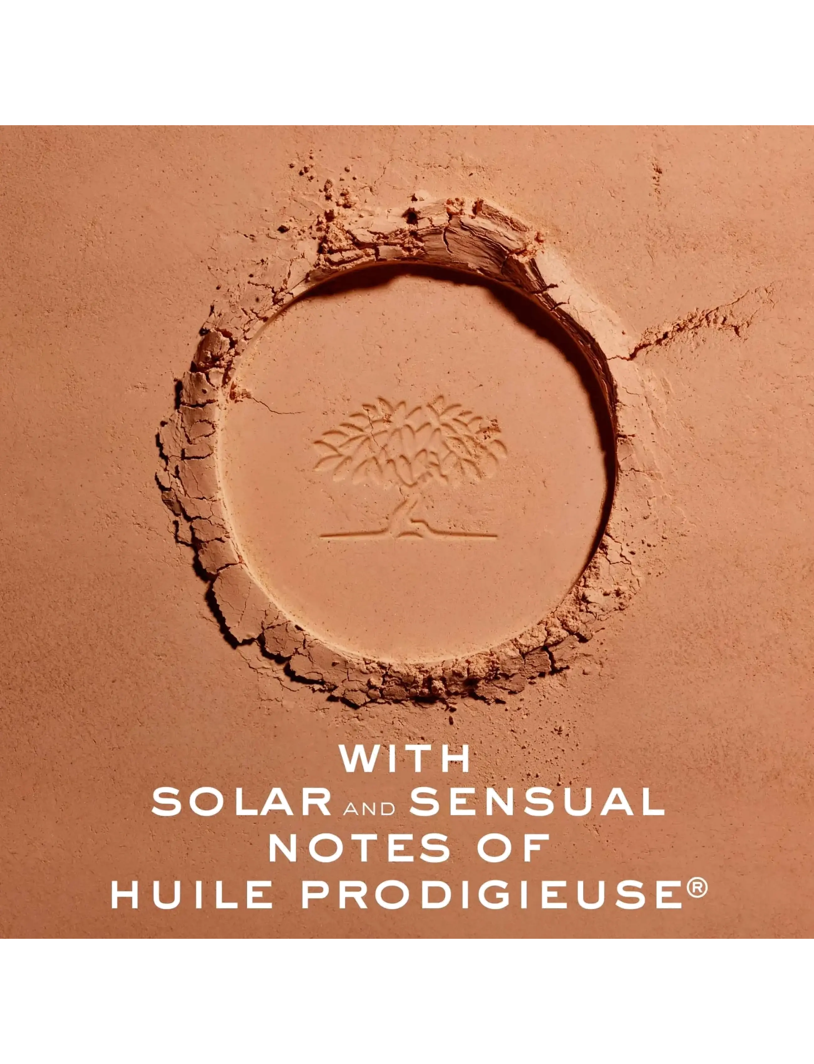 NUXE - Prodigieux La Poudre Eclat Bronzing 10 G - förðunarvörur - clear - 2