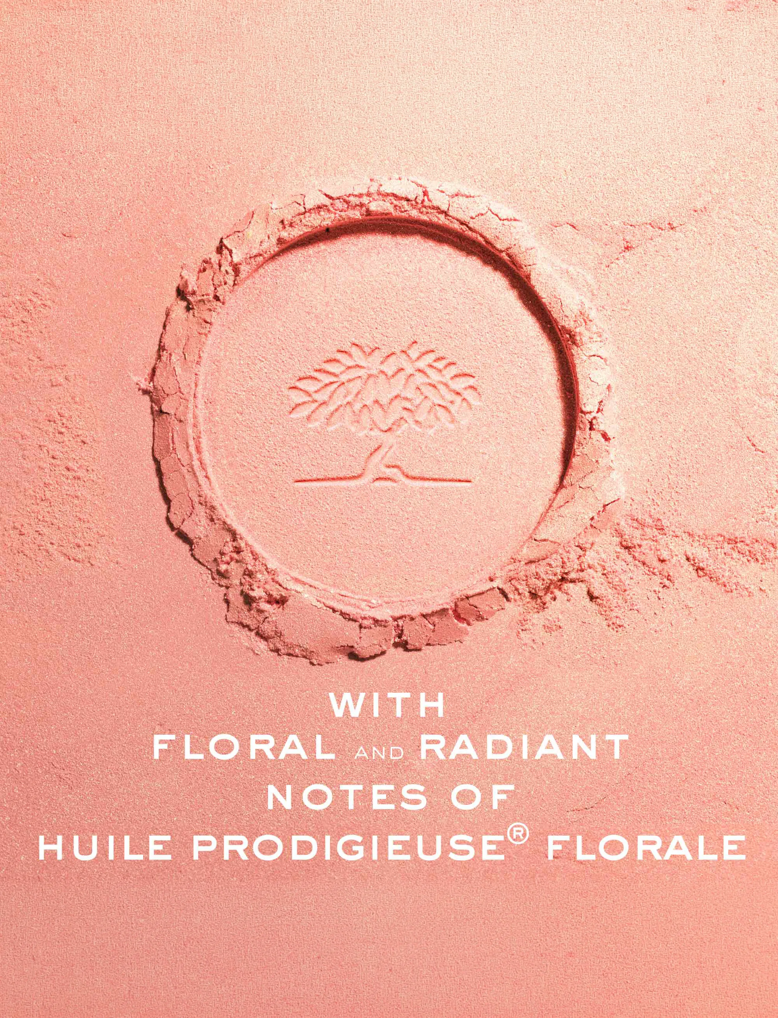 NUXE - Prodigieux La Poudre Eclat Illuminating 10 G - makeup - clear - 2