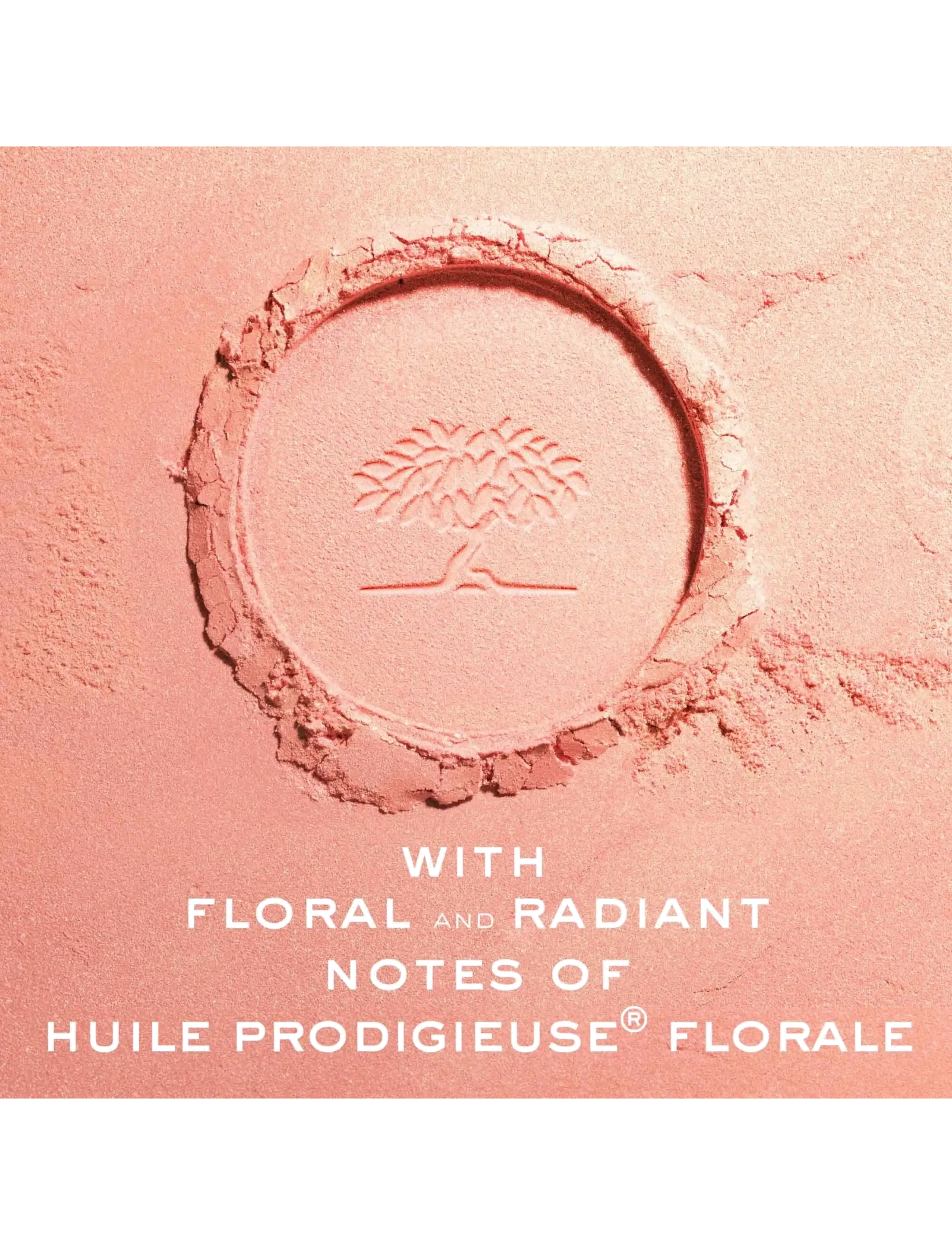 NUXE - Prodigieux La Poudre Eclat Illuminating 10 G - makeup - clear - 2