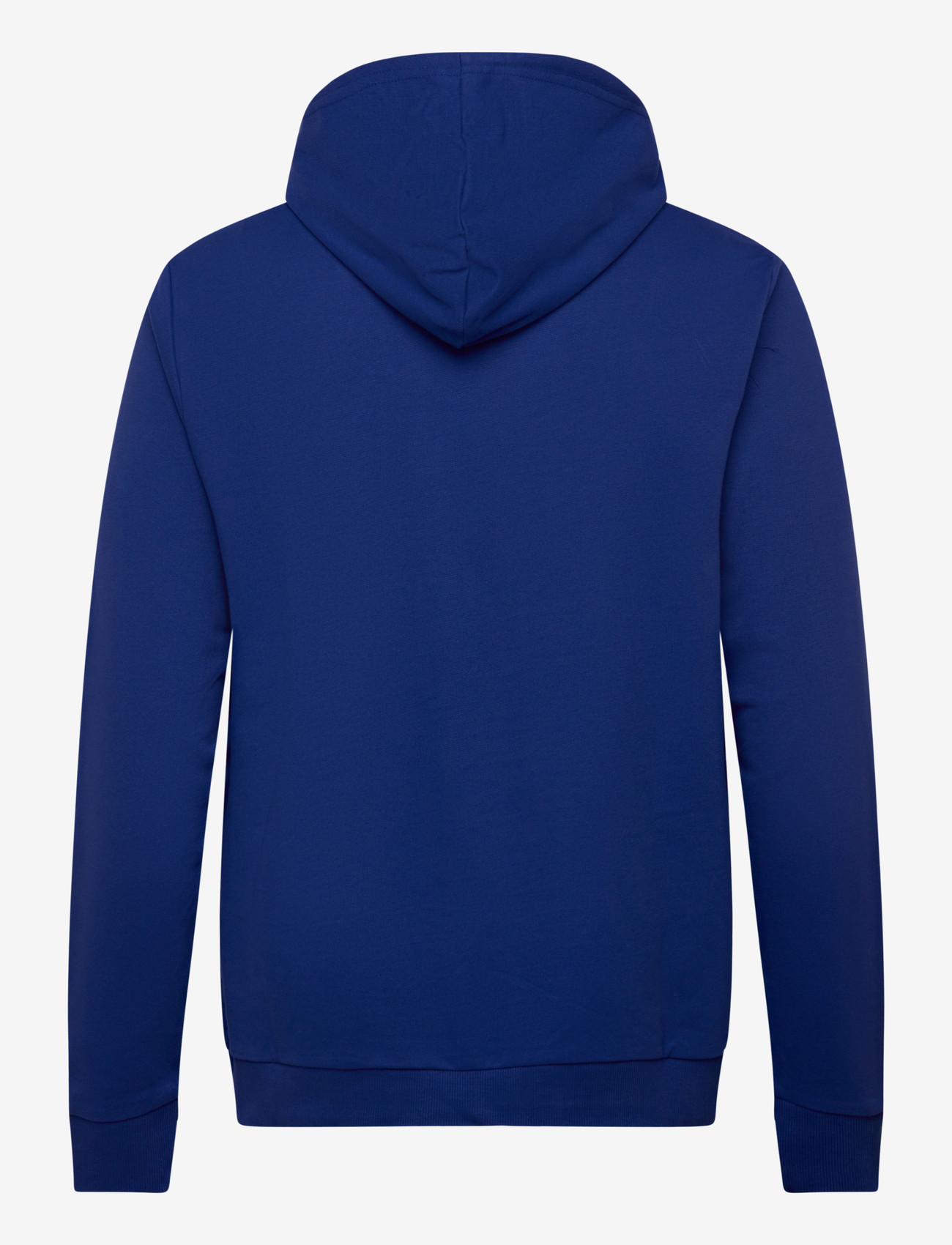 OAKLEY - B1B PO HOODIE 2.0 - sweats à capuche - electric blue - 2