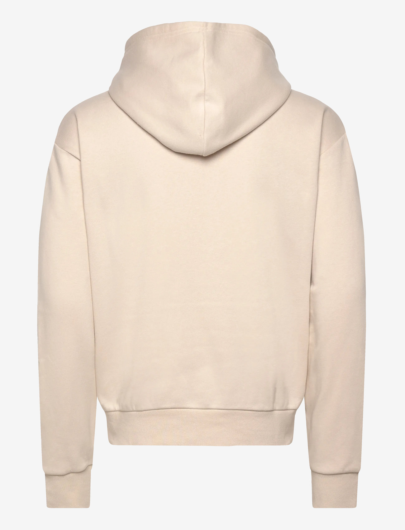 OAKLEY - METAL RISE HOODIE - kapuutsiga dressipluusid - mist - 1