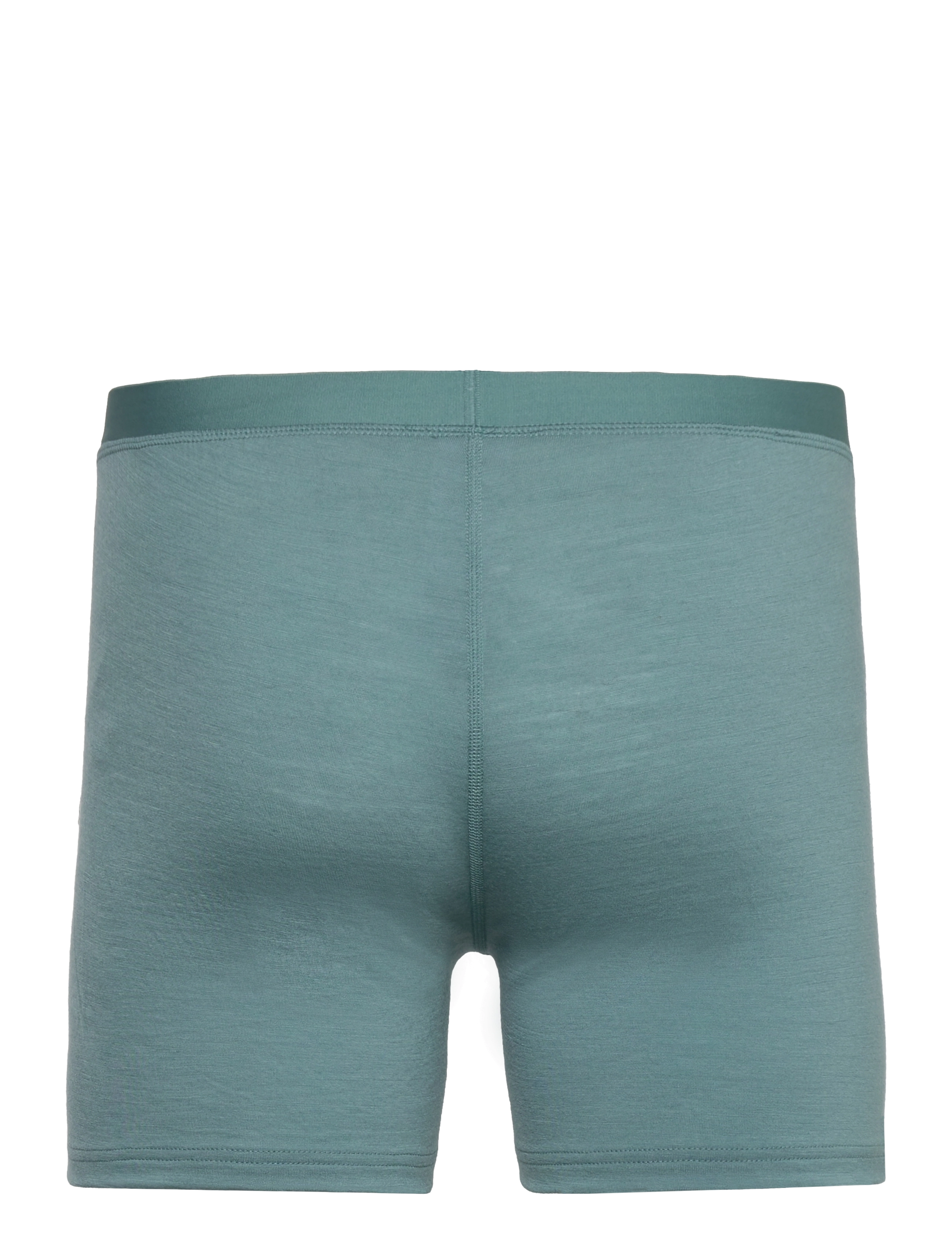Odlo - ODLO Boxer MERINO 160 - arctic - 1