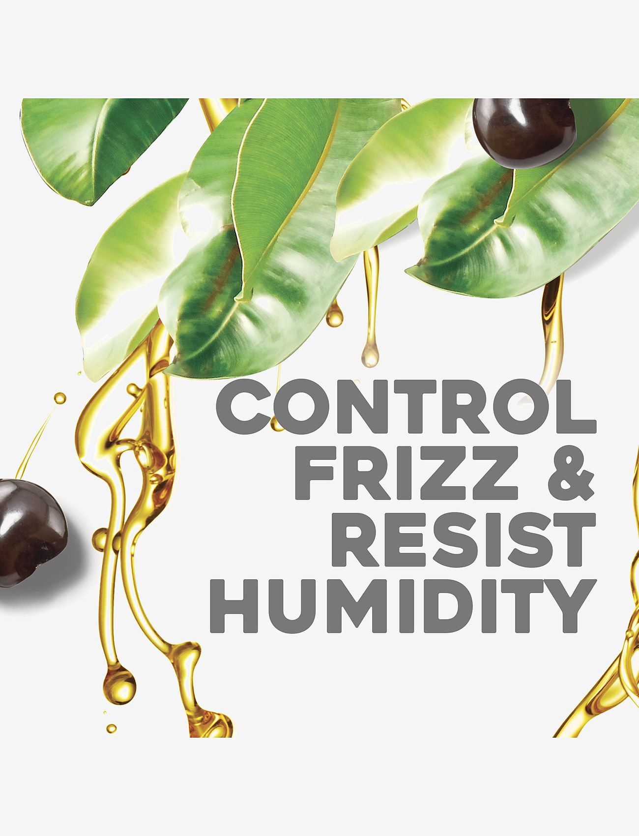 Ogx - Kukui Oil Conditioner 385 ml - clear - 3