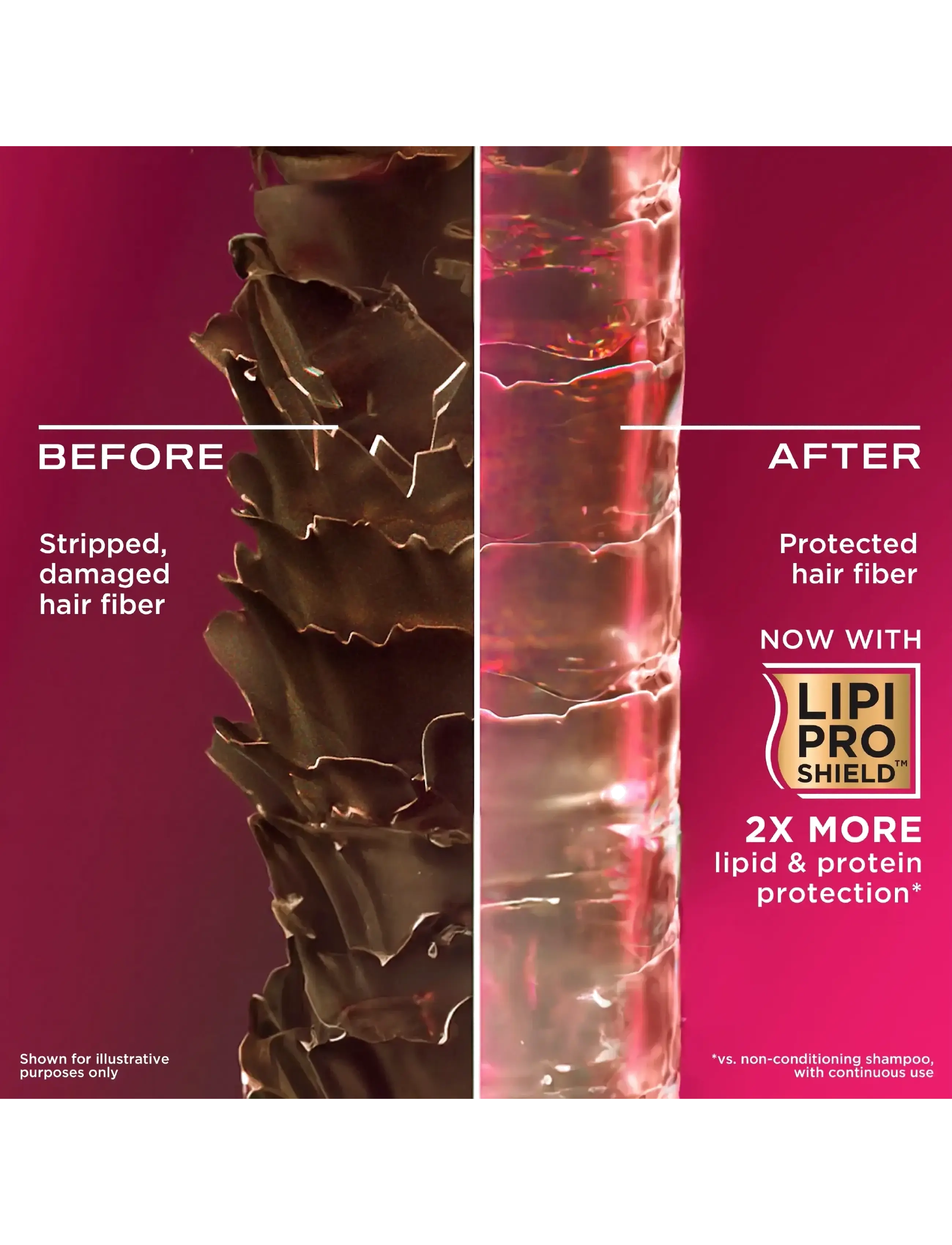 Ogx - Keratin Oil Shampoo 385 ml - shampoo - clear - 5