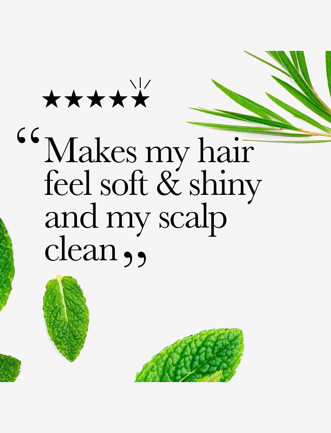 Ogx - Tea Tree Mint Extra Strength Shampoo 385 ml - clear - 1