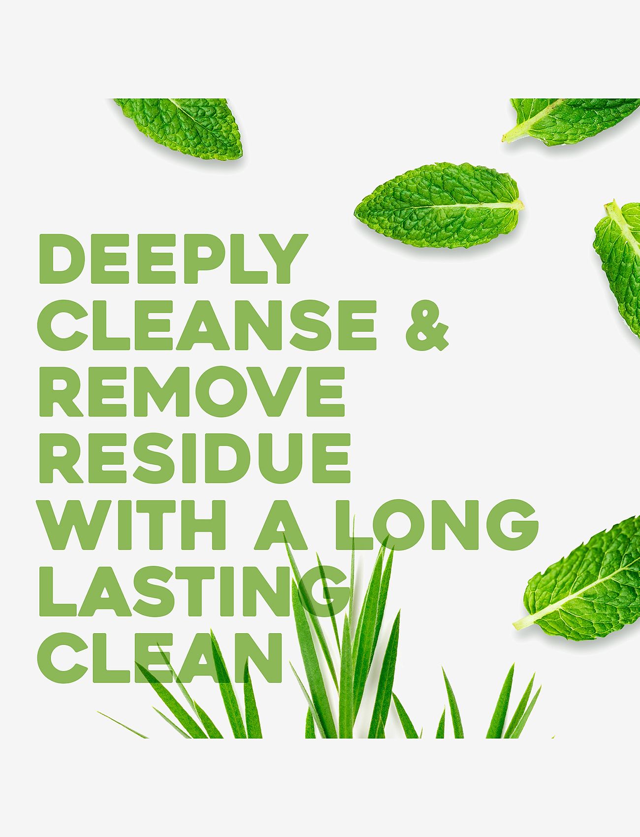 Ogx - Tea Tree Mint Extra Strength Shampoo 385 ml - clear - 2