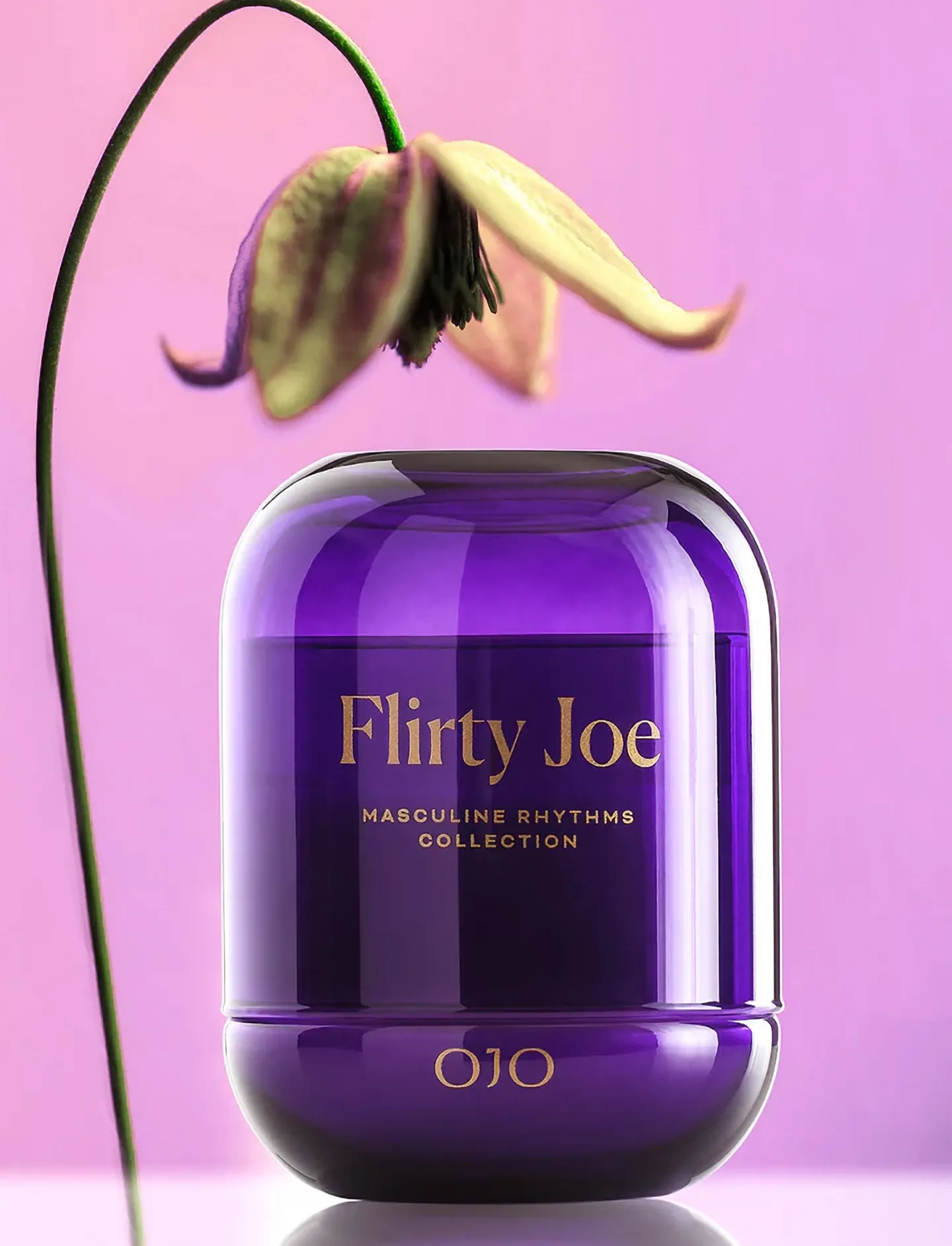 OJO - FLIRTTY JOE - above 500kr - purple – gold - 4
