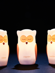Olala Boutique - Night Light Trio - Owl - belysning - white - 3