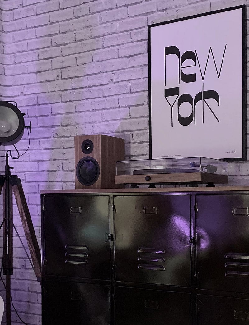 Olle Eksell - New York - illustratsioonid - multicolour - 2