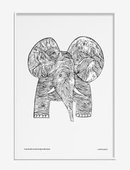 Elephant - MULTICOLOUR