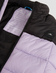 O'neill - O'RIGINALS PUFFER VEST - puffer vests - purple rose colour block - 8