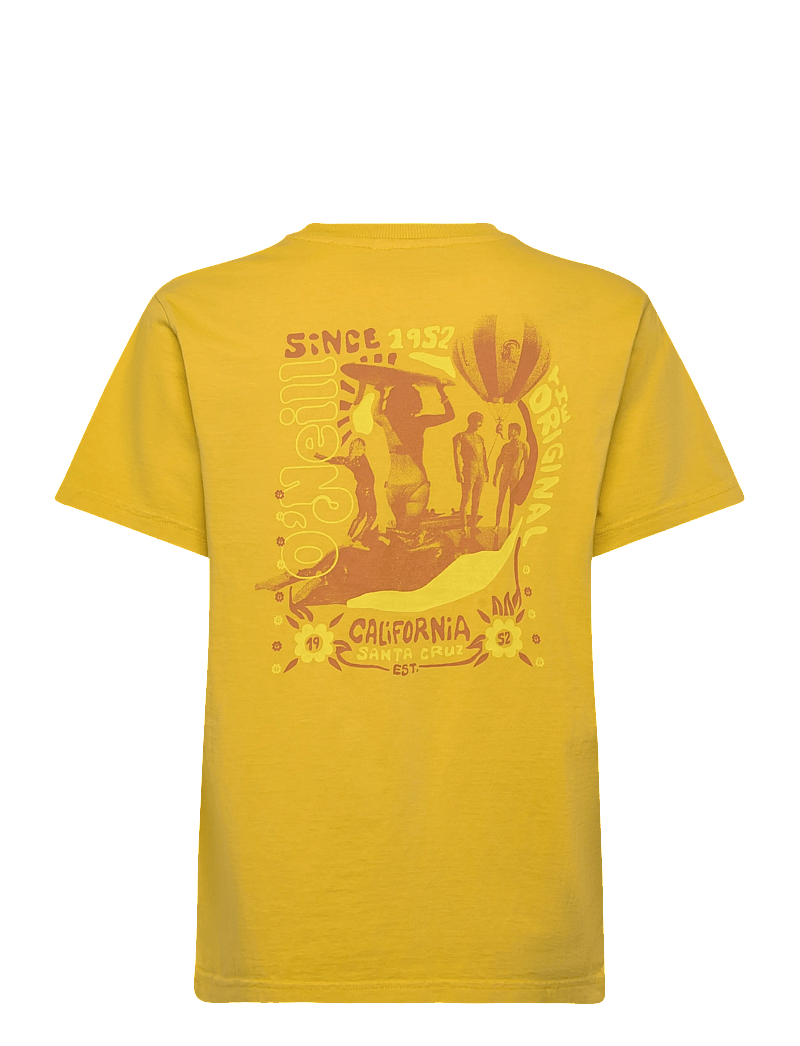 O'neill - O'Riginals Vintage Graphic T-Shirt - palaidinės ir marškinėliai - angel fern - 1