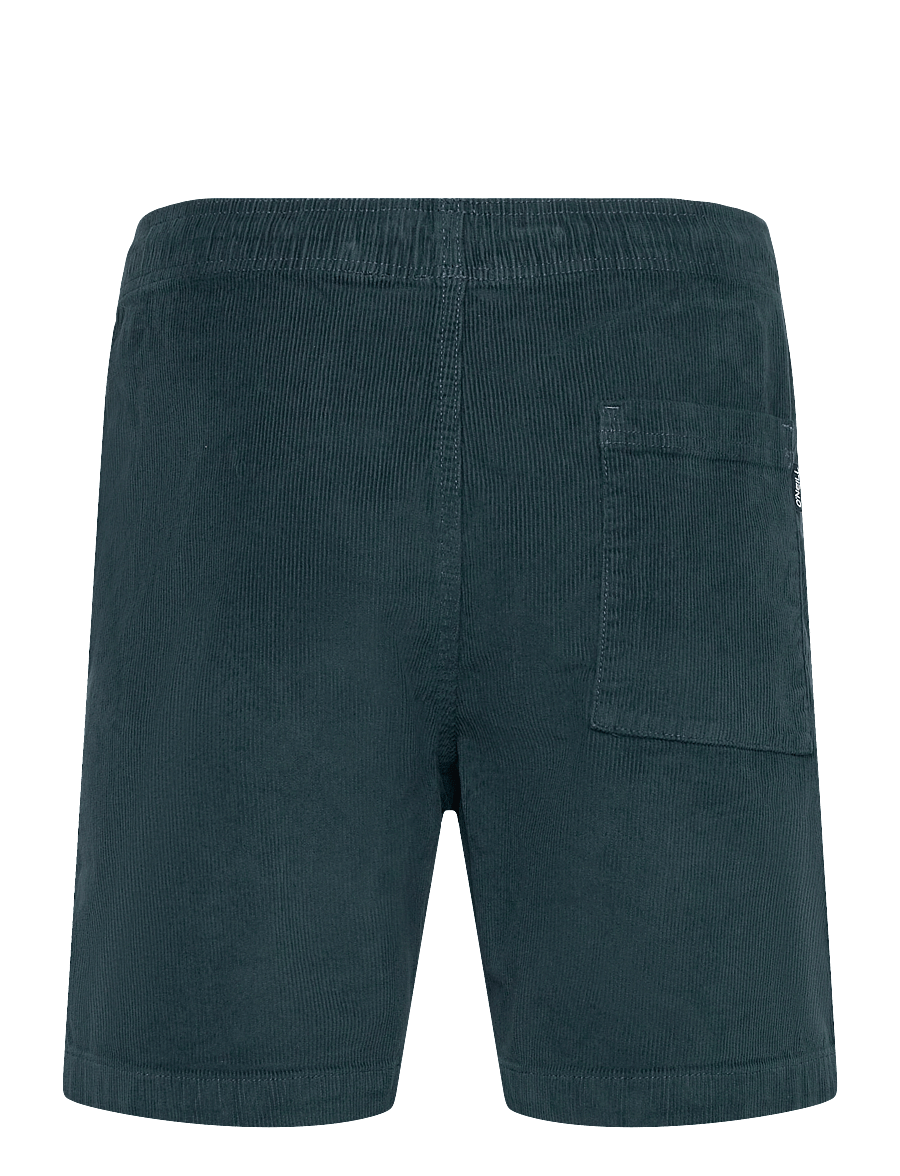 O'neill - O'NEILL CORD SHORTS - apakšējais apģērbs - alma steel - 2