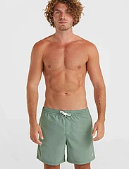 O'neill - VERT 16'' SWIM SHORTS - swim shorts - lily pad - 2