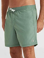 O'neill - VERT 16'' SWIM SHORTS - shorts - lily pad - 3