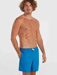 O'neill - VERT 16'' SWIM SHORTS - swim shorts - mary poppins - 2