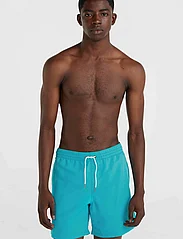O'neill - VERT 16'' SWIM SHORTS - shorts - neon blue - 2