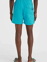 O'neill - VERT 16'' SWIM SHORTS - shorts - neon blue - 3