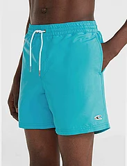 O'neill - VERT 16'' SWIM SHORTS - swim shorts - neon blue - 4