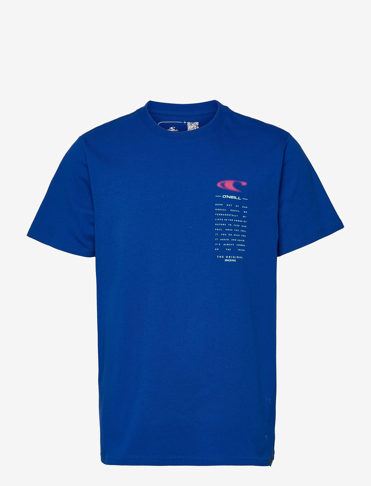 SURF THE WEB BLUE