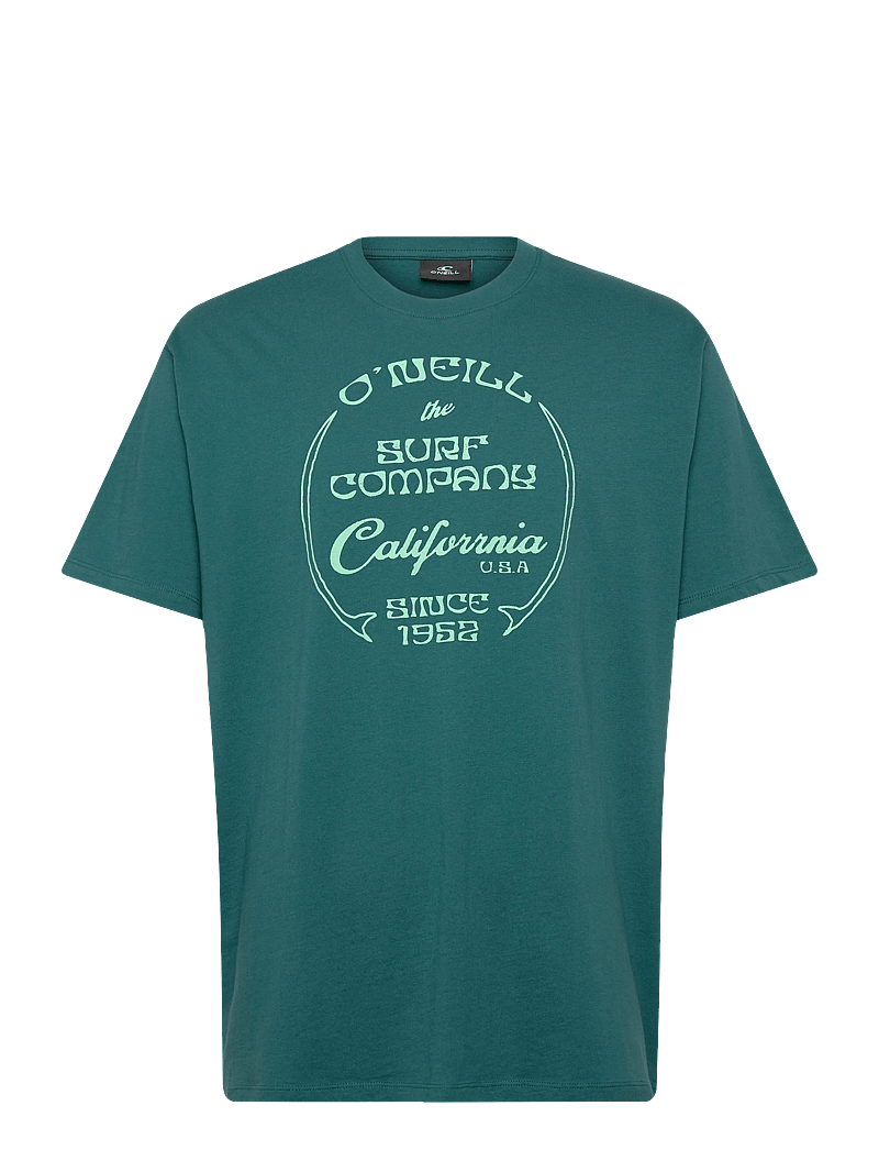 O'neill - O'Neill Beach Front Print T-Shirt - kortærmede t-shirts - botanical heat - 0